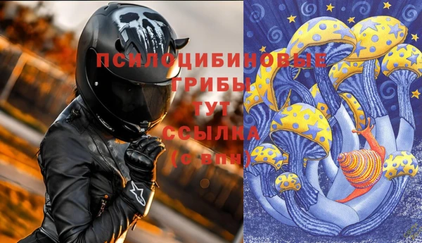 трава Беломорск