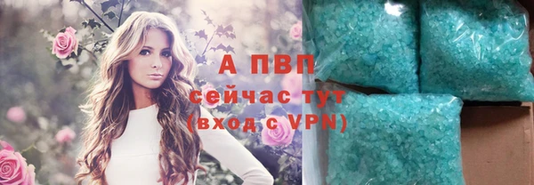 трава Беломорск