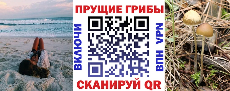 дарнет шоп  Болхов  Псилоцибиновые грибы MAGIC MUSHROOMS 